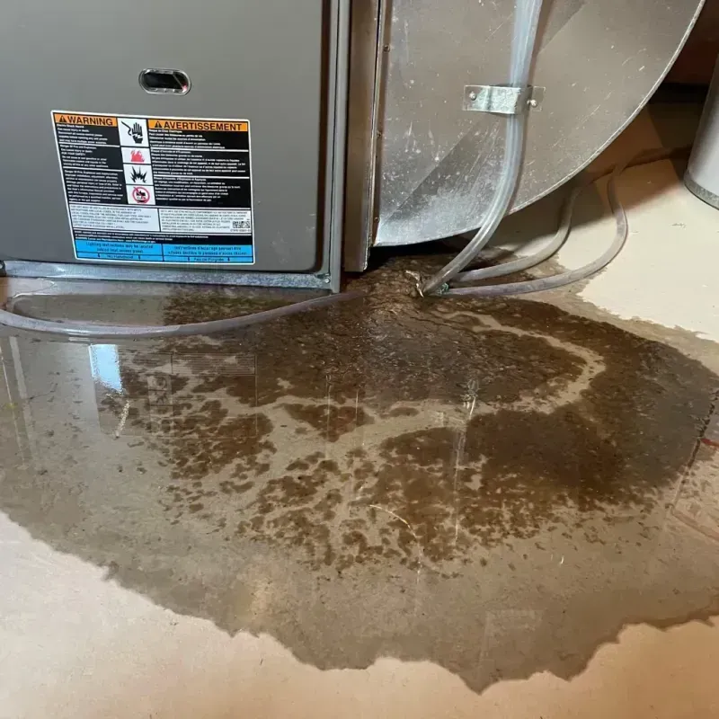 Appliance Leak Cleanup in Ellensburg, WA